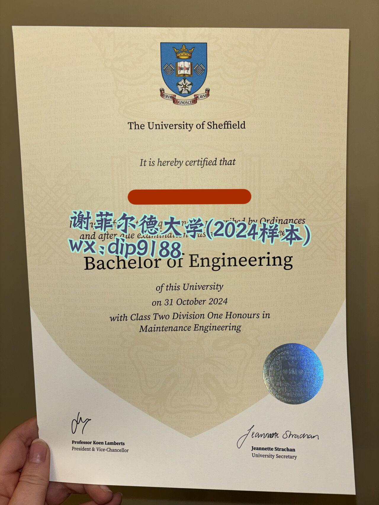 谢菲尔德大学学历2024毕业证样本图