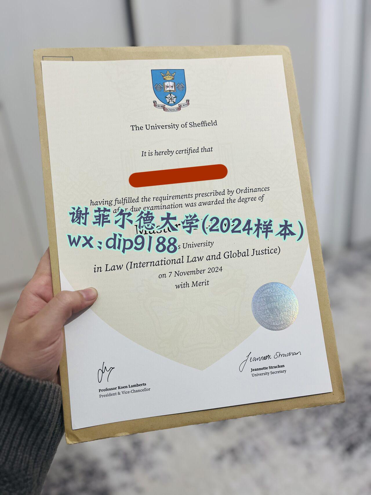 谢菲尔德大学学历2024毕业证样本图