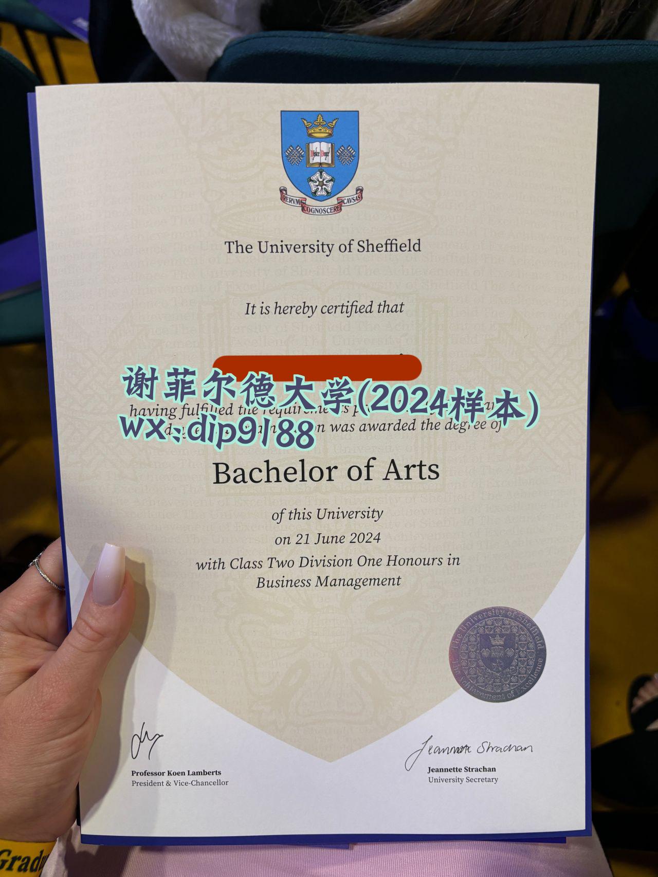 谢菲尔德大学学历2024毕业证样本图
