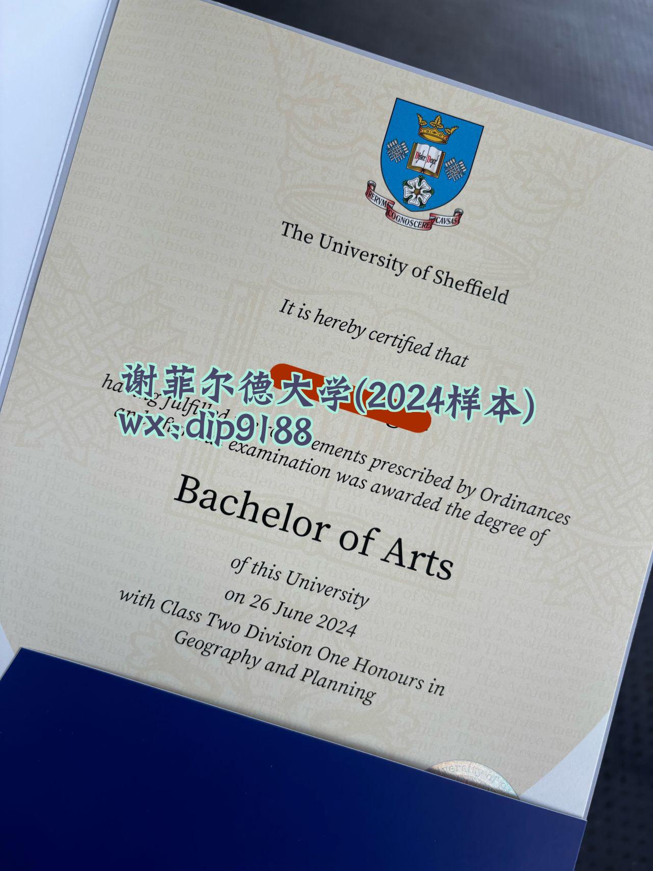 谢菲尔德大学学历2024毕业证样本图