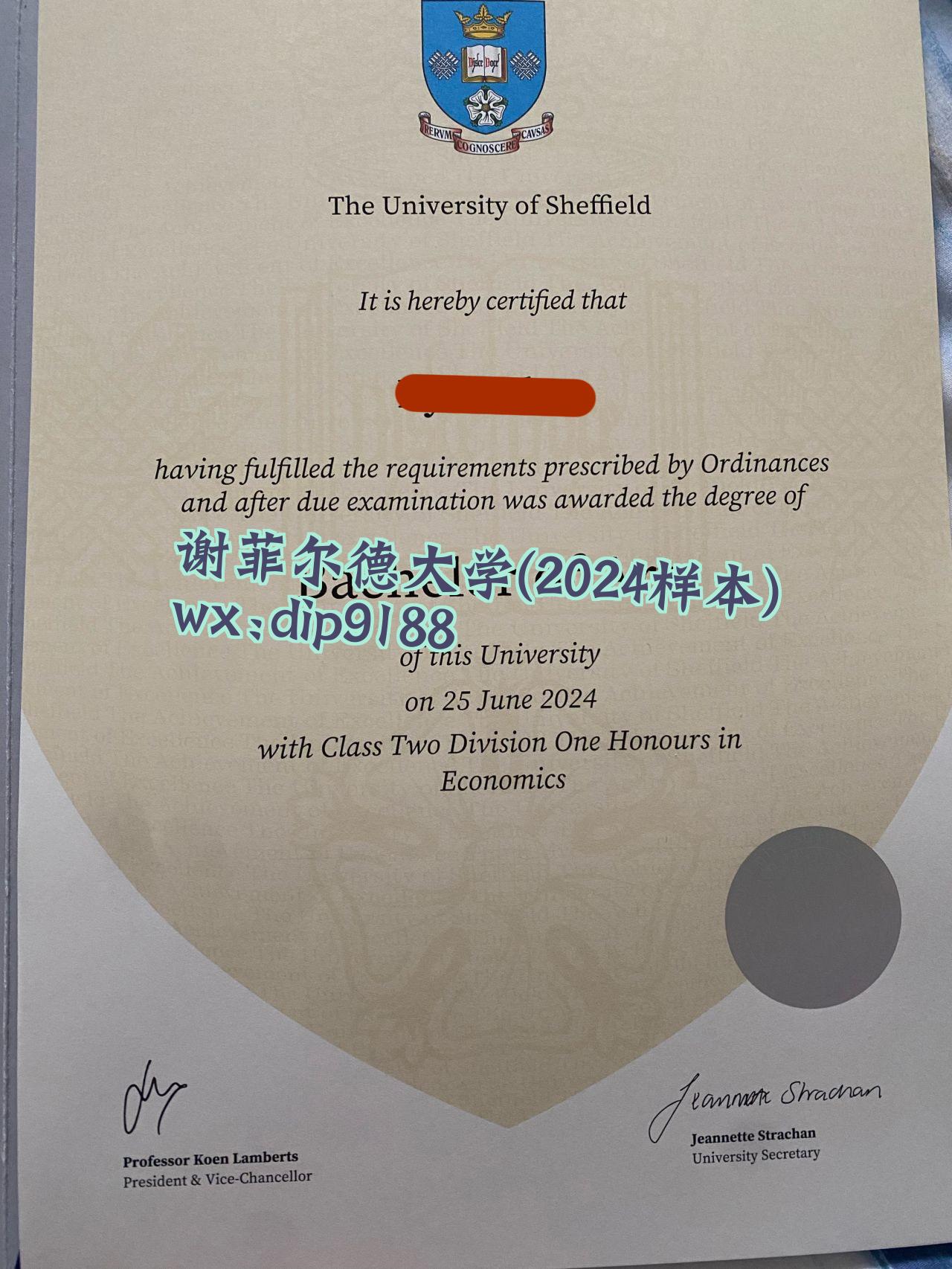 谢菲尔德大学学历2024毕业证样本图