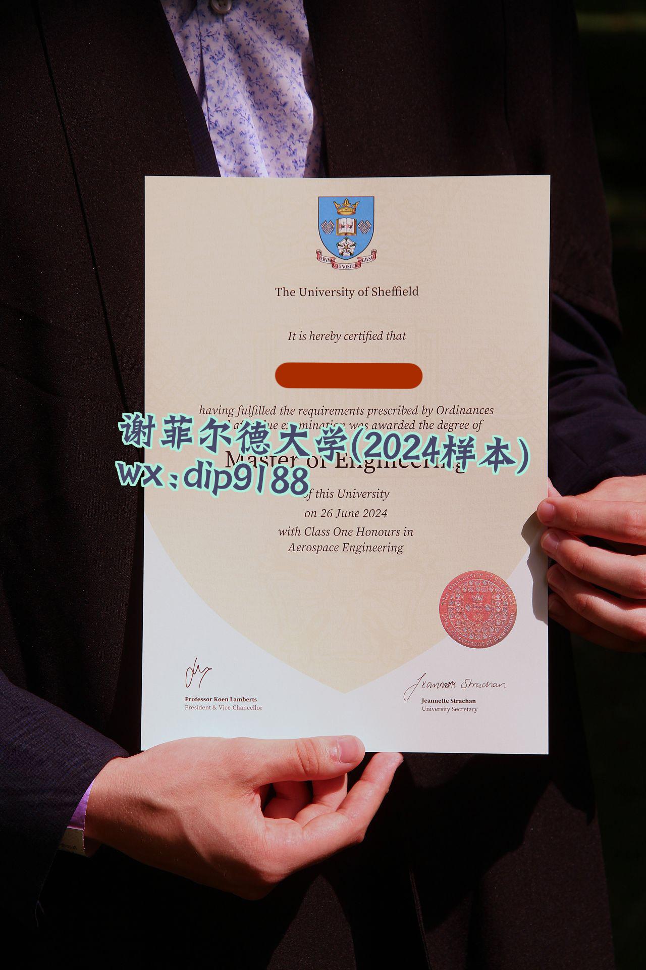 谢菲尔德大学学历2024毕业证样本图