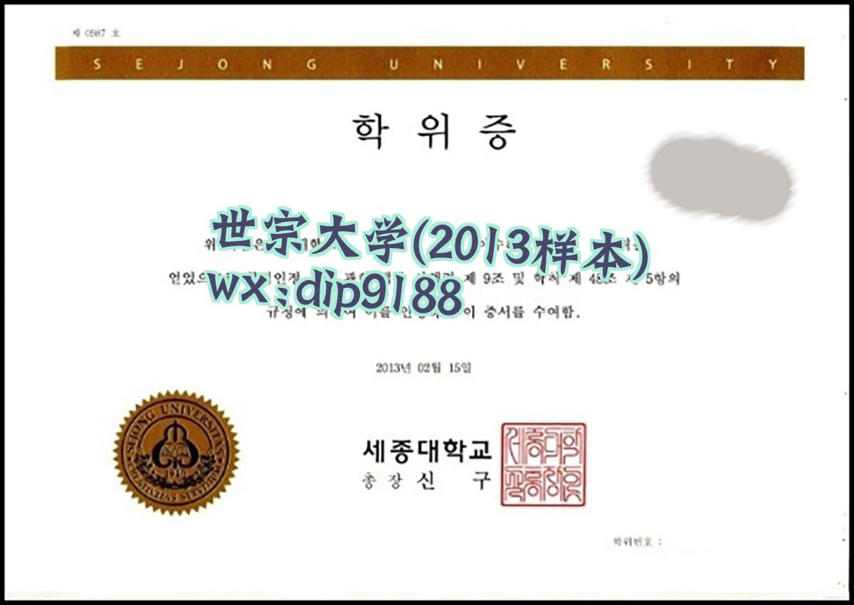 世宗大学学历2013毕业证样本图