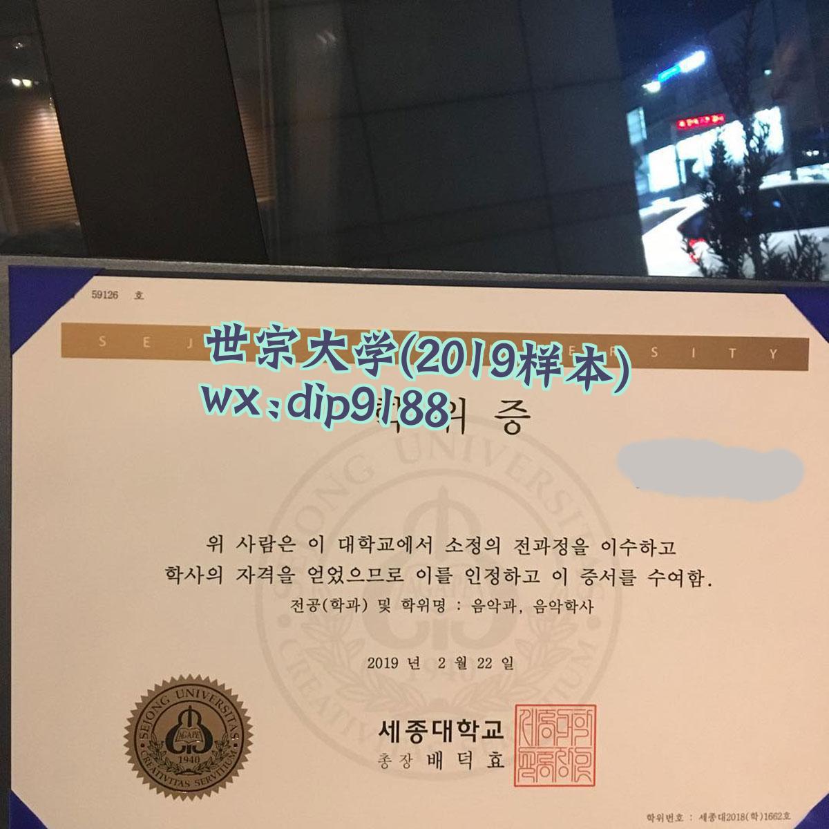 世宗大学学历2019毕业证样本图