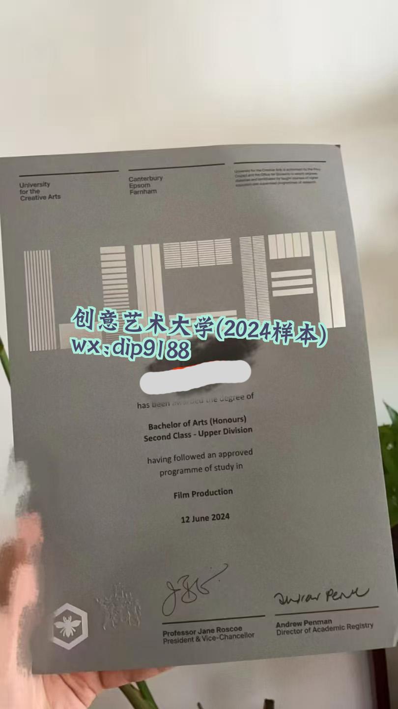 创意艺术大学学历2024毕业证样本图