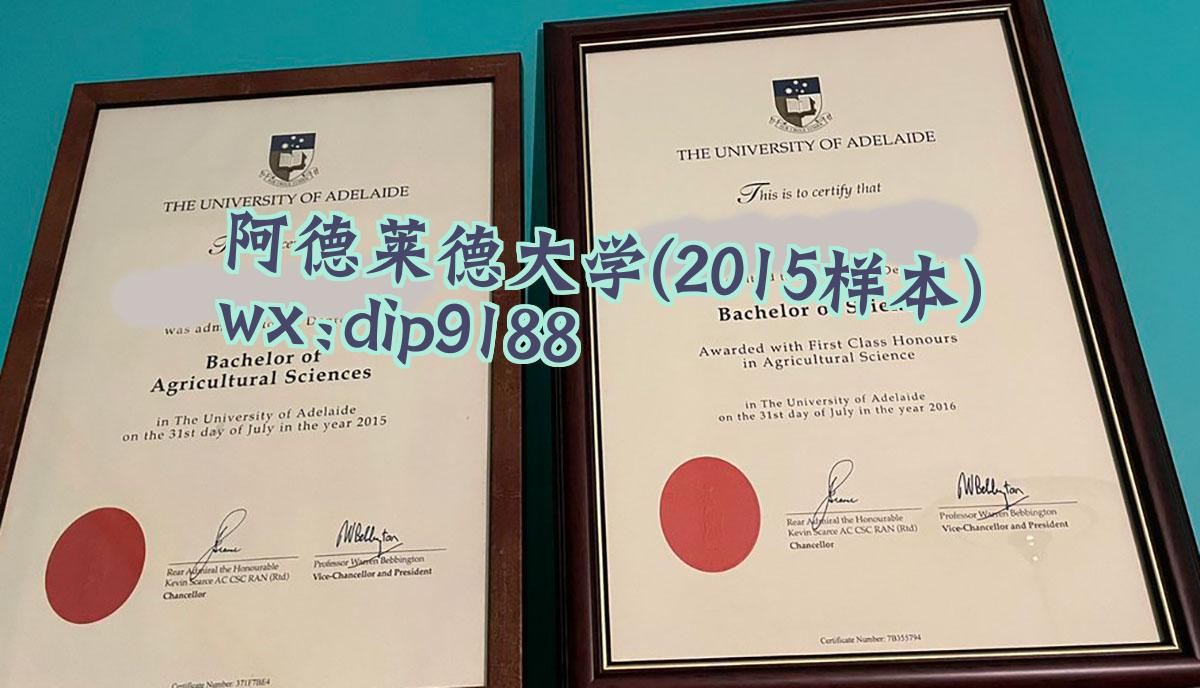 阿德莱德大学学历2015毕业证样本图