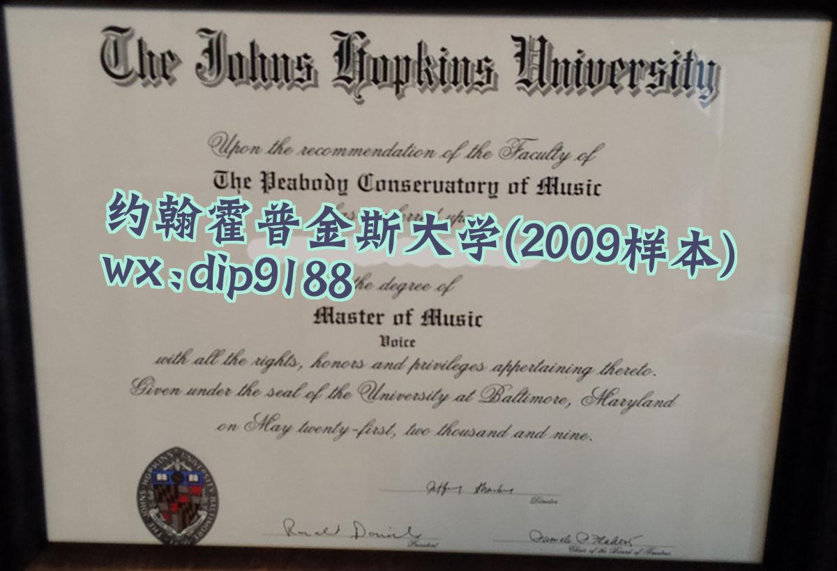 约翰霍普金斯大学学历2009毕业证样本图