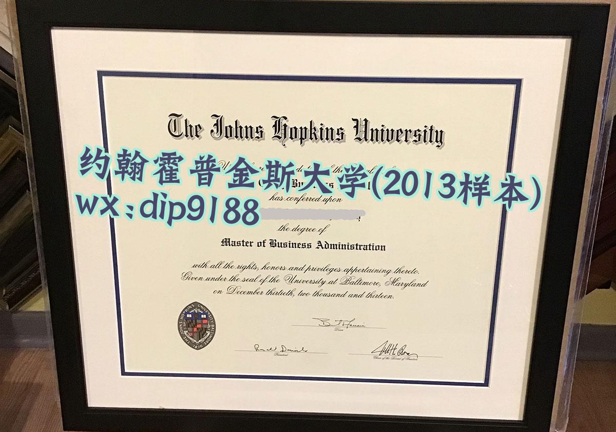 约翰霍普金斯大学学历2013毕业证样本图