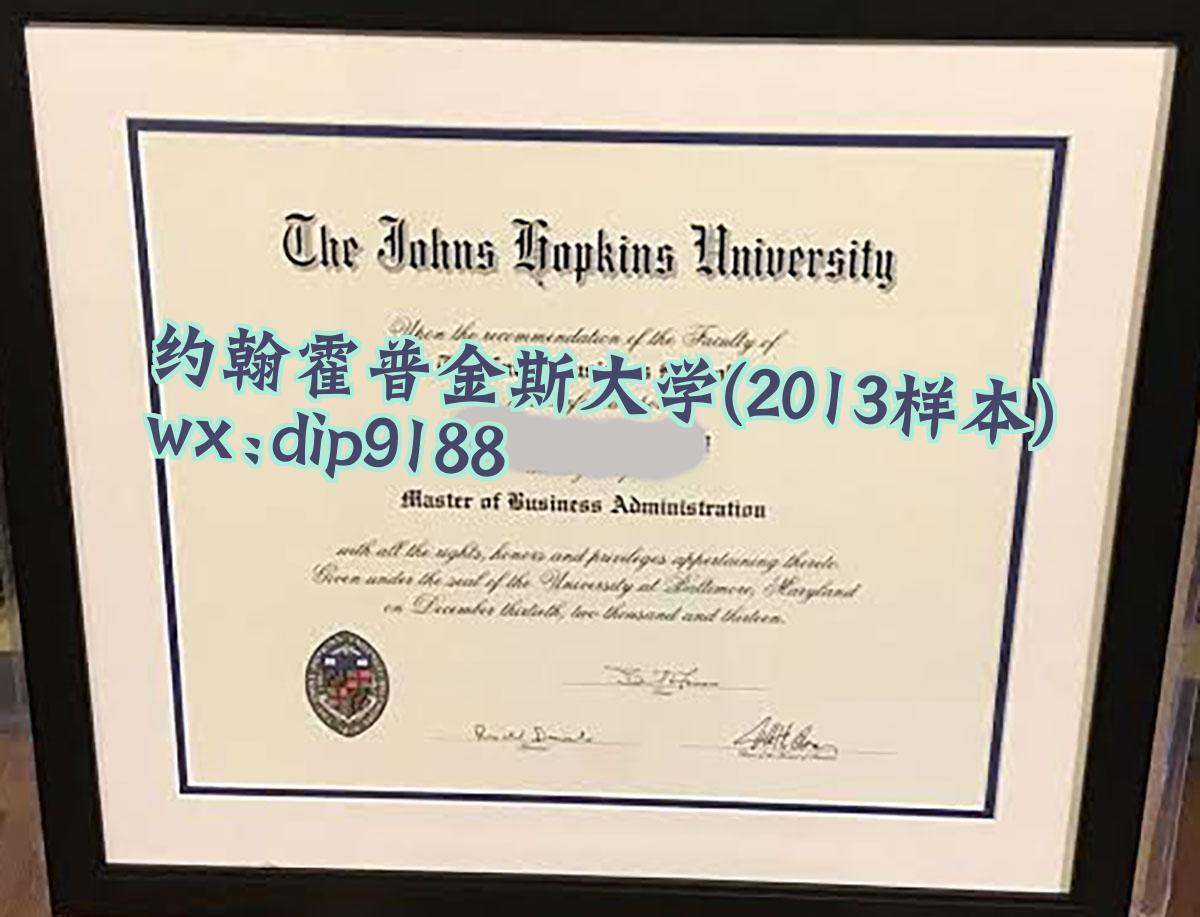 约翰霍普金斯大学学历2013毕业证样本图