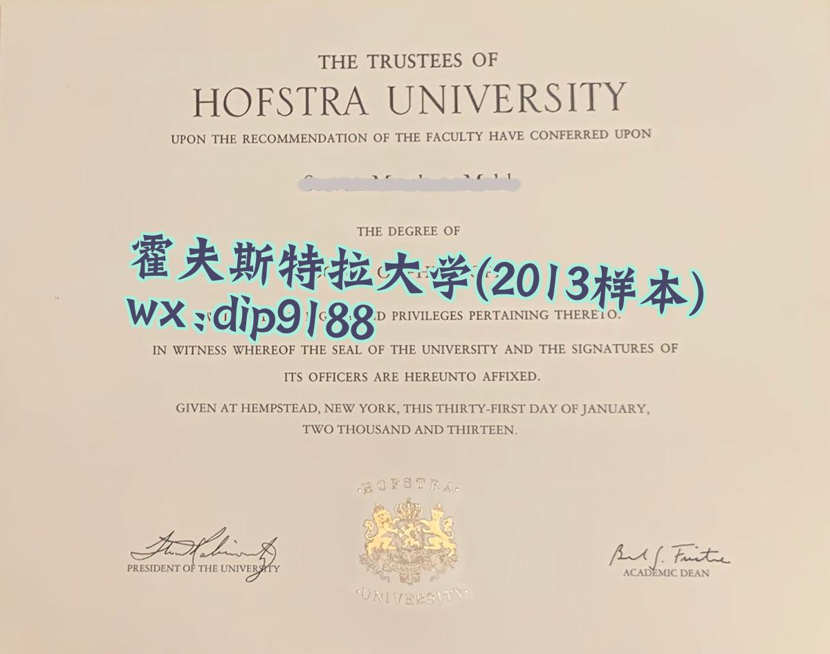 霍夫斯特拉大学学历2013毕业证样本图