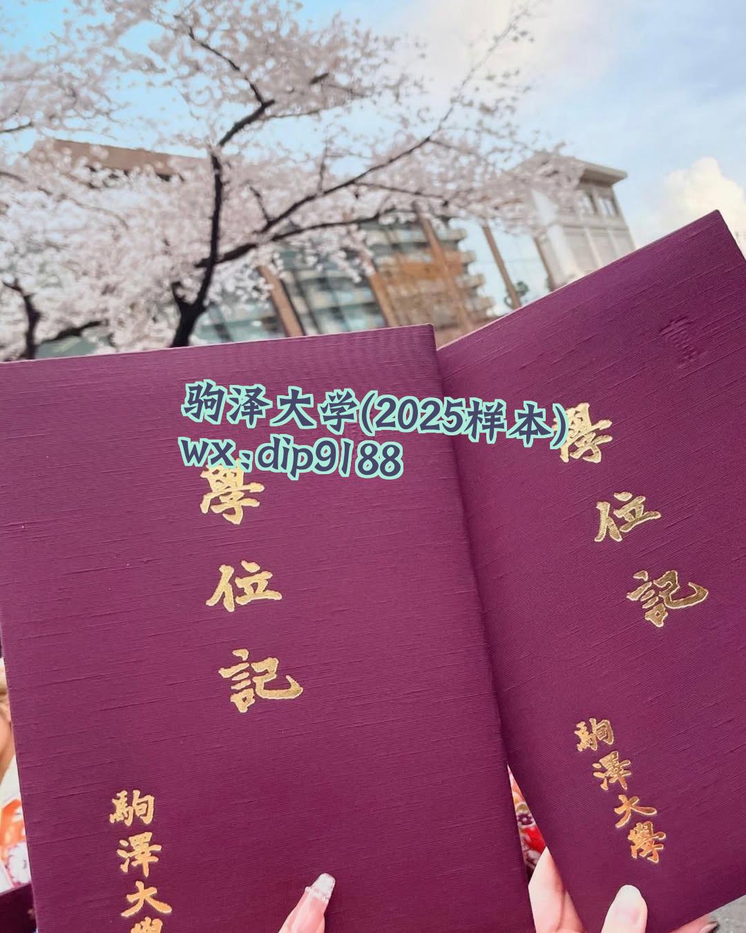 驹泽大学学历2025毕业证样本图