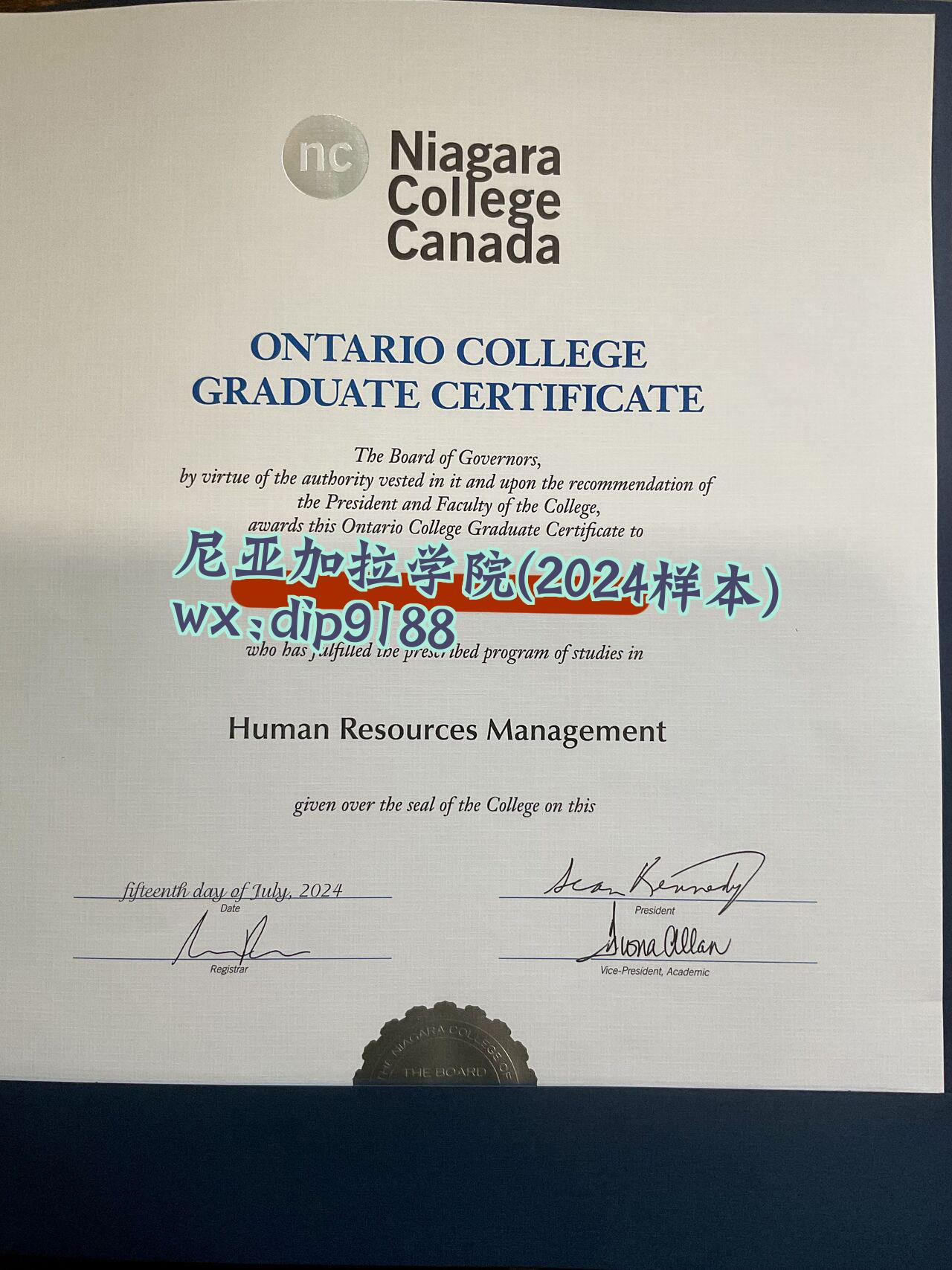尼亚加拉学院学历2024毕业证样本图