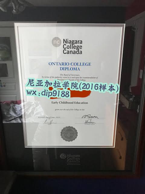 尼亚加拉学院学历2016毕业证样本图
