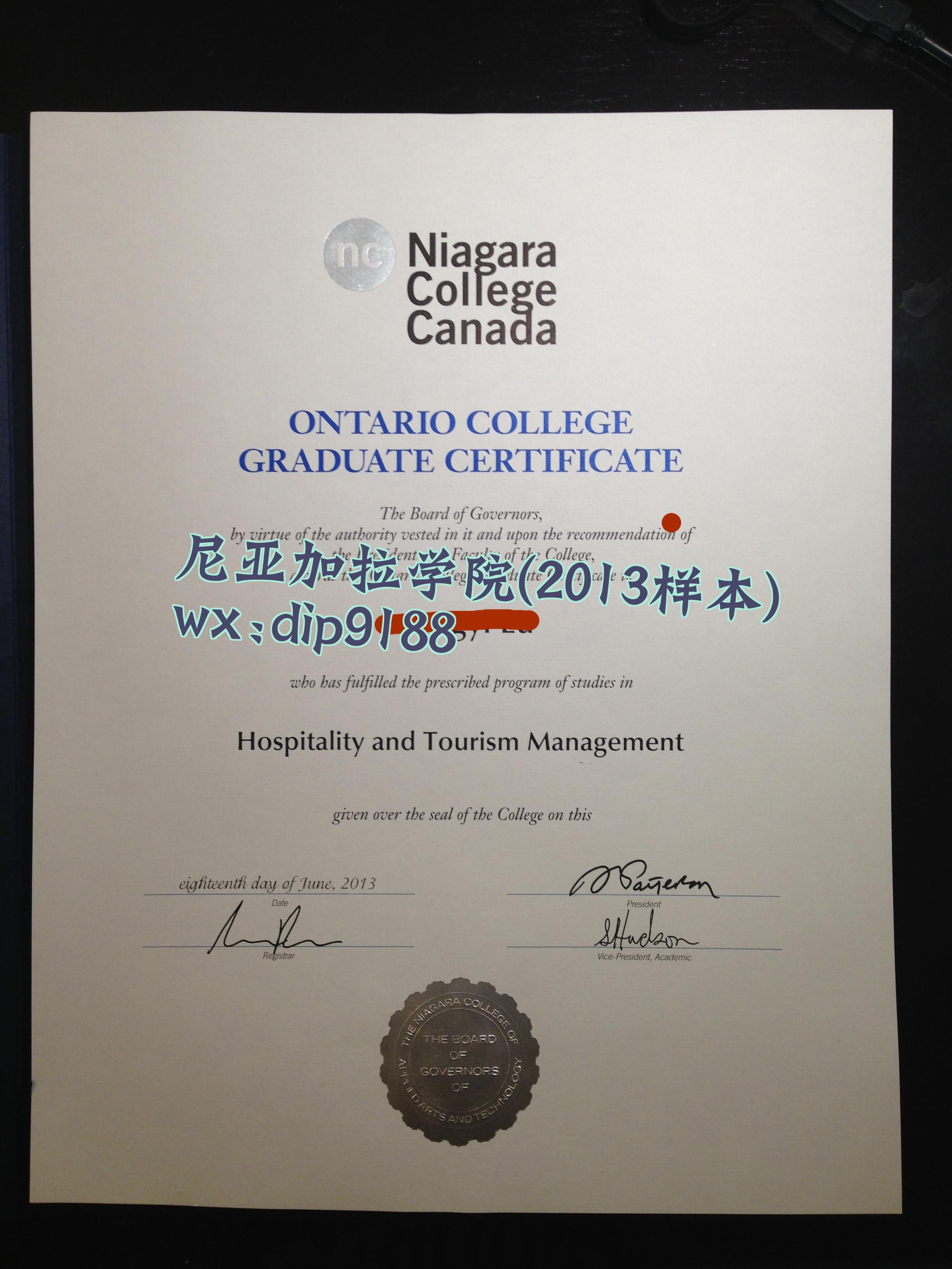 尼亚加拉学院学历2013毕业证样本图