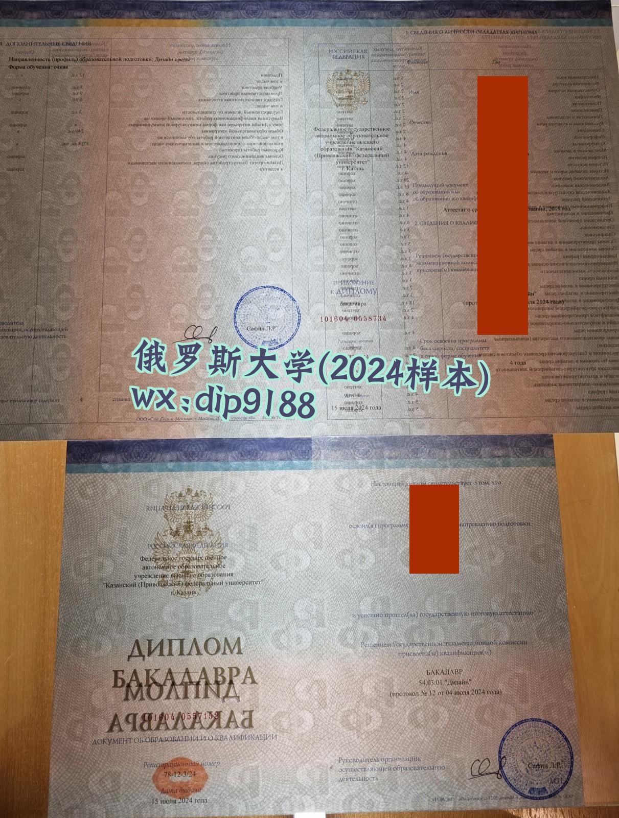 俄罗斯大学学历2024毕业证样本图片