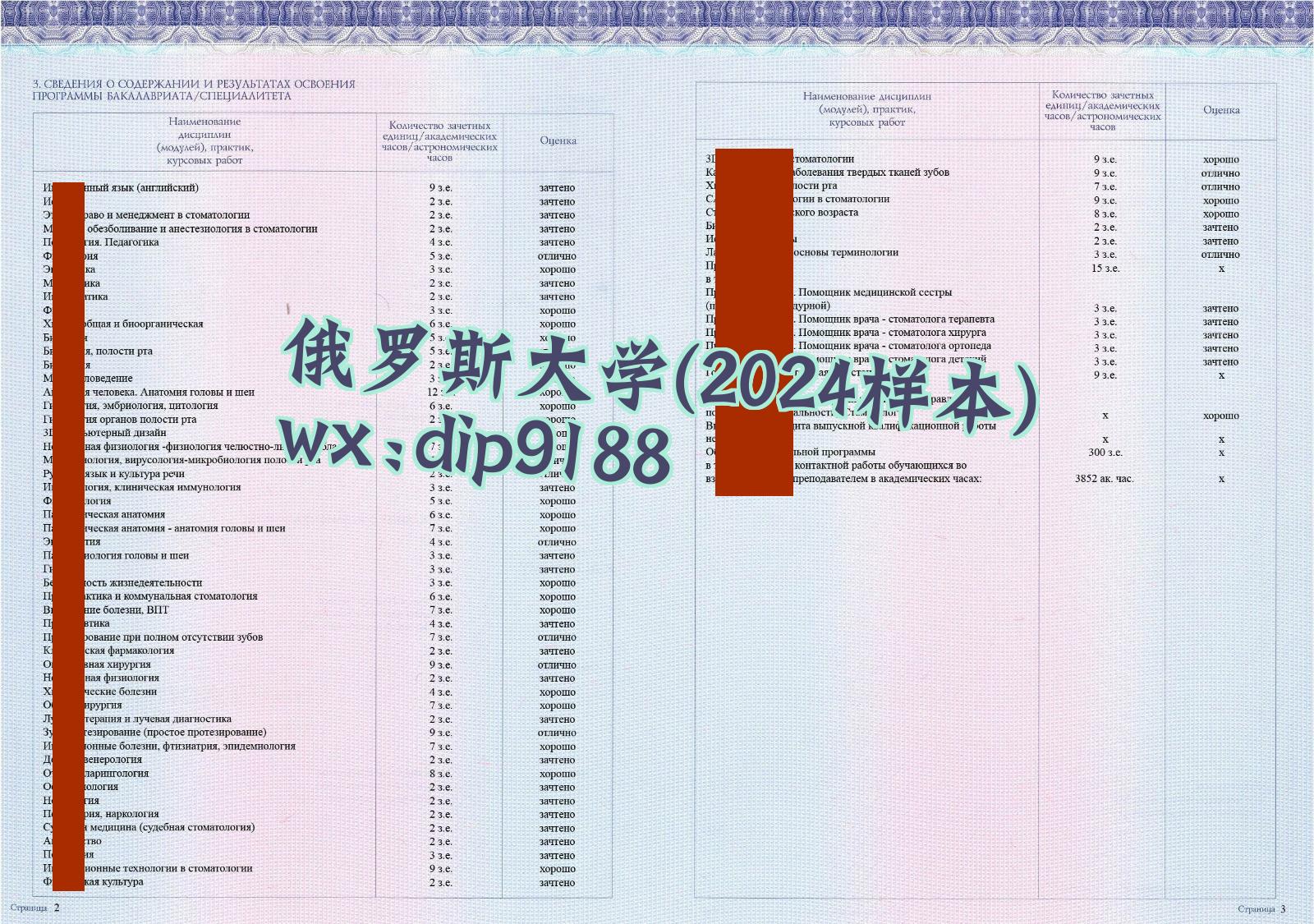 俄罗斯大学学历2024毕业证样本图片