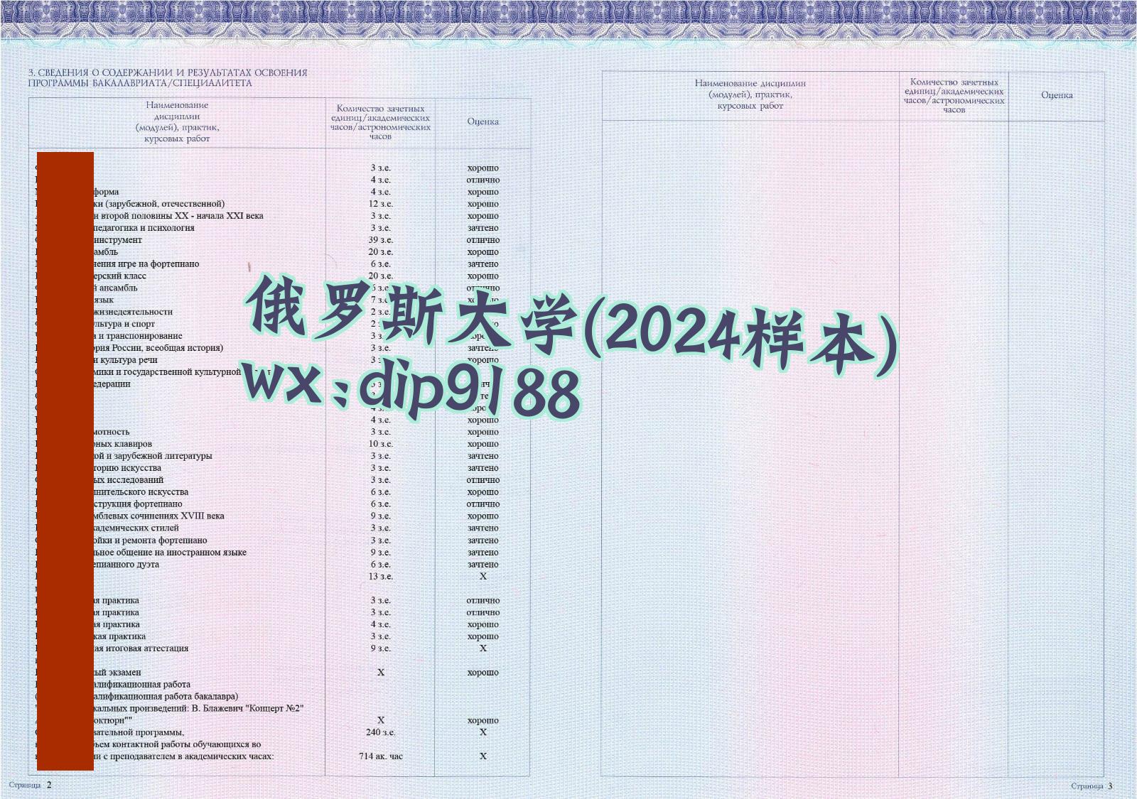俄罗斯大学学历2024毕业证样本图