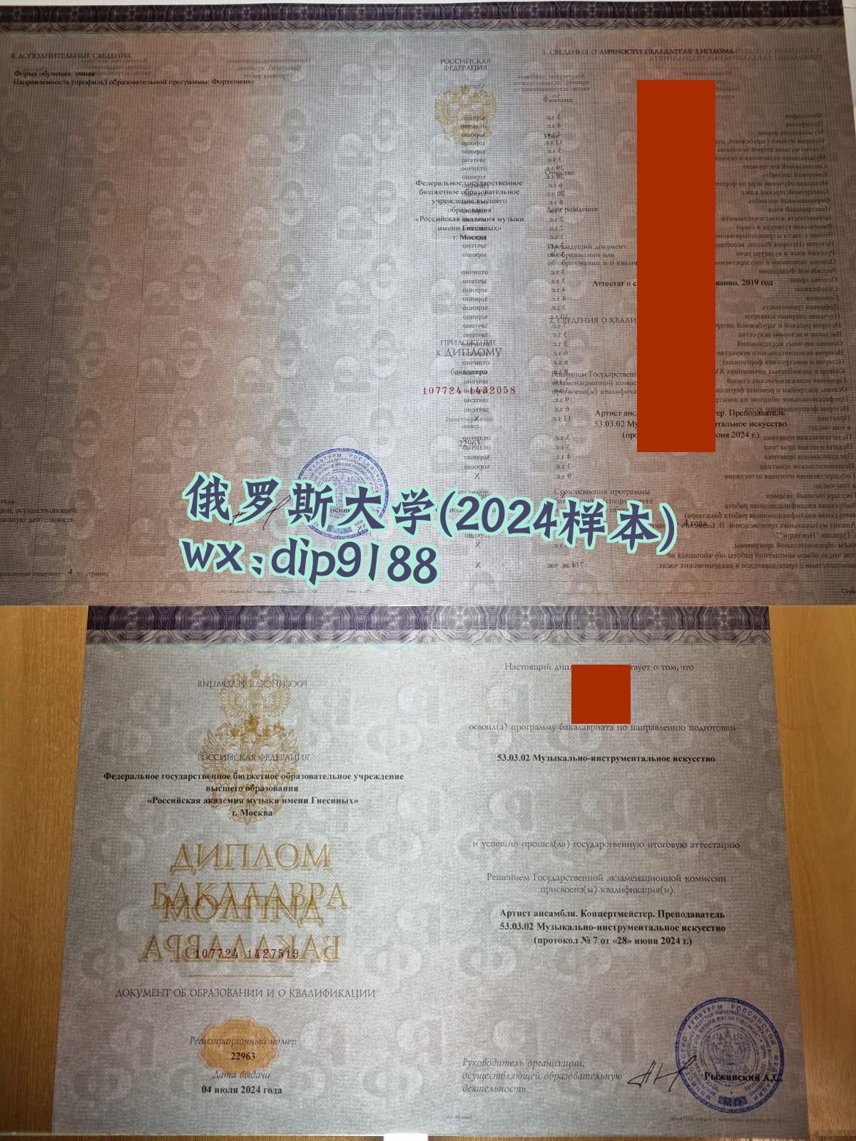 俄罗斯大学学历2024毕业证样本图片