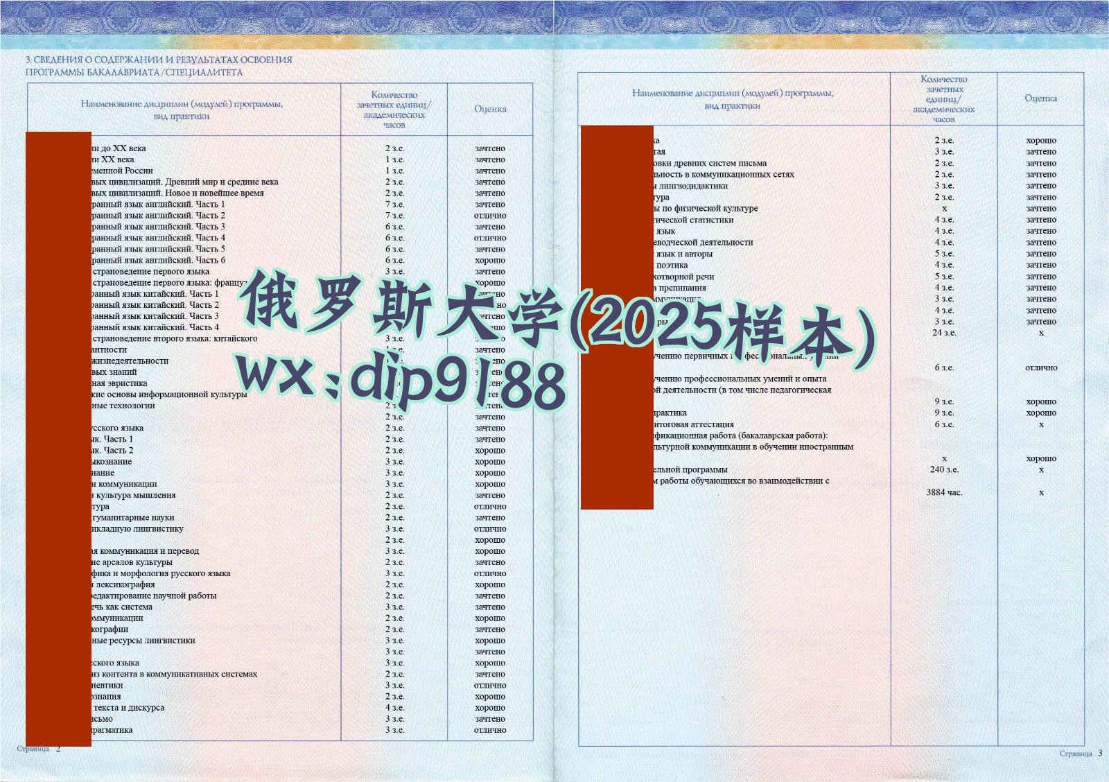 俄罗斯大学学历2025毕业证样本图片