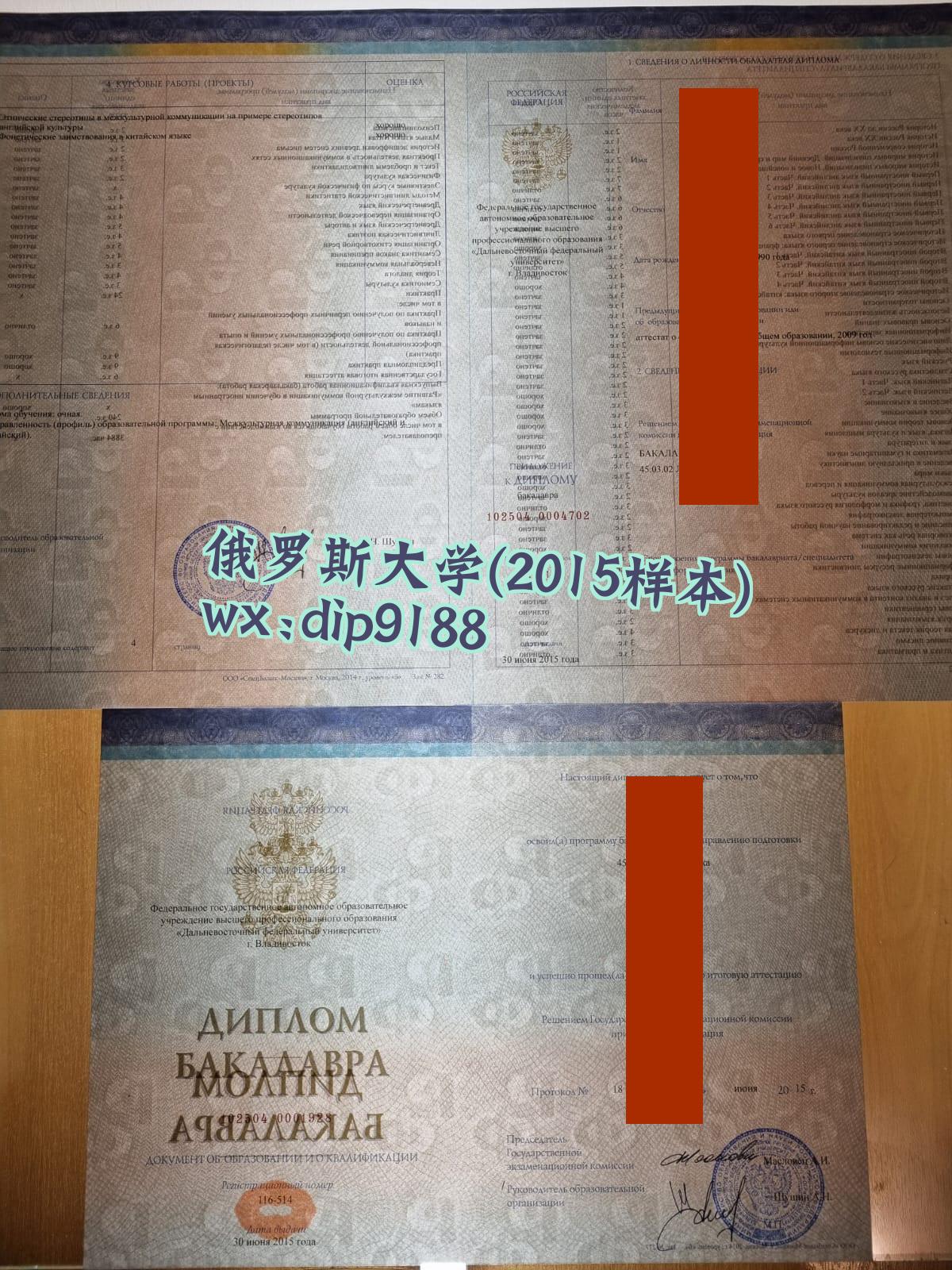 俄罗斯大学学历2015毕业证样本图片