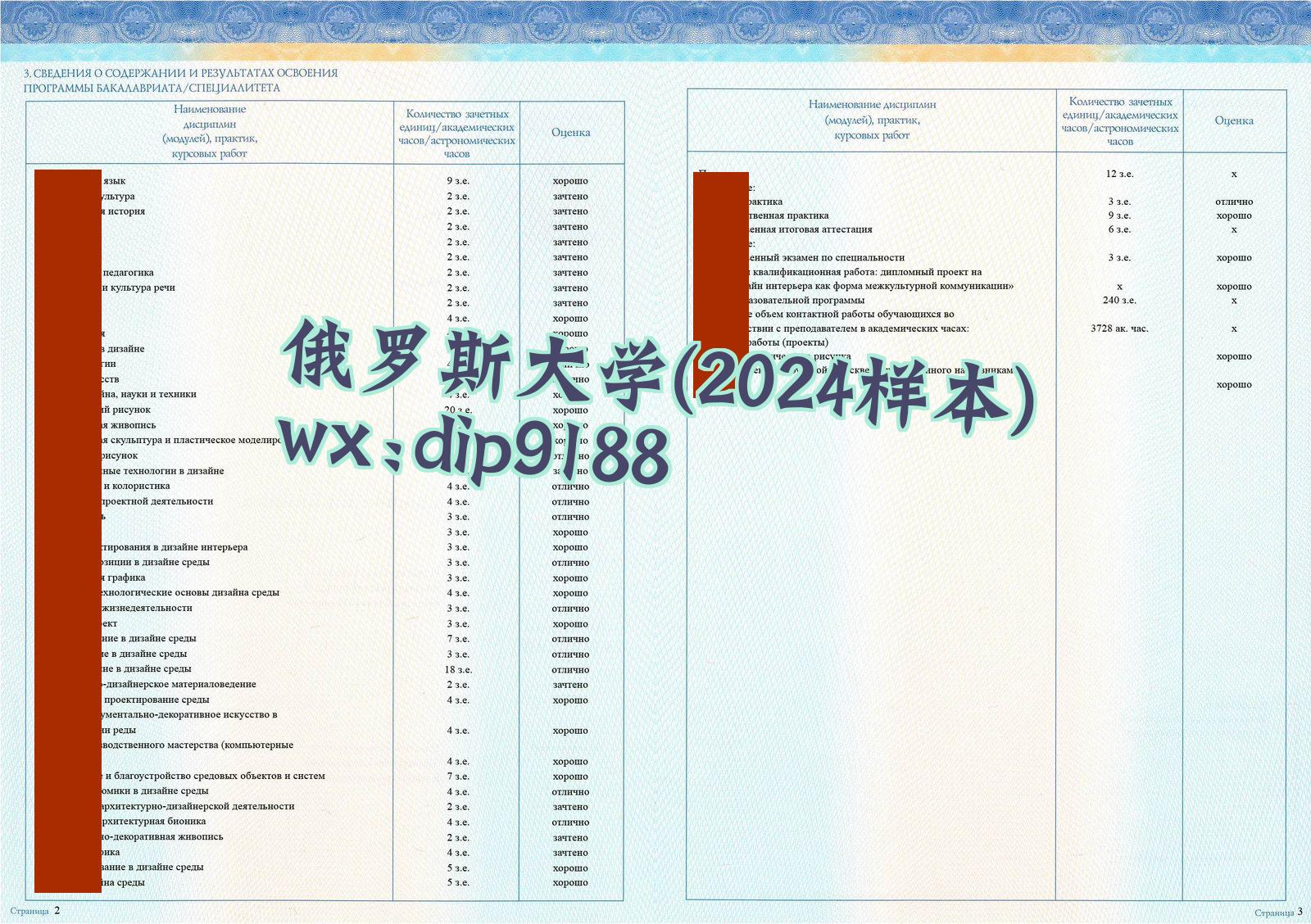 俄罗斯大学学历2024毕业证样本图片