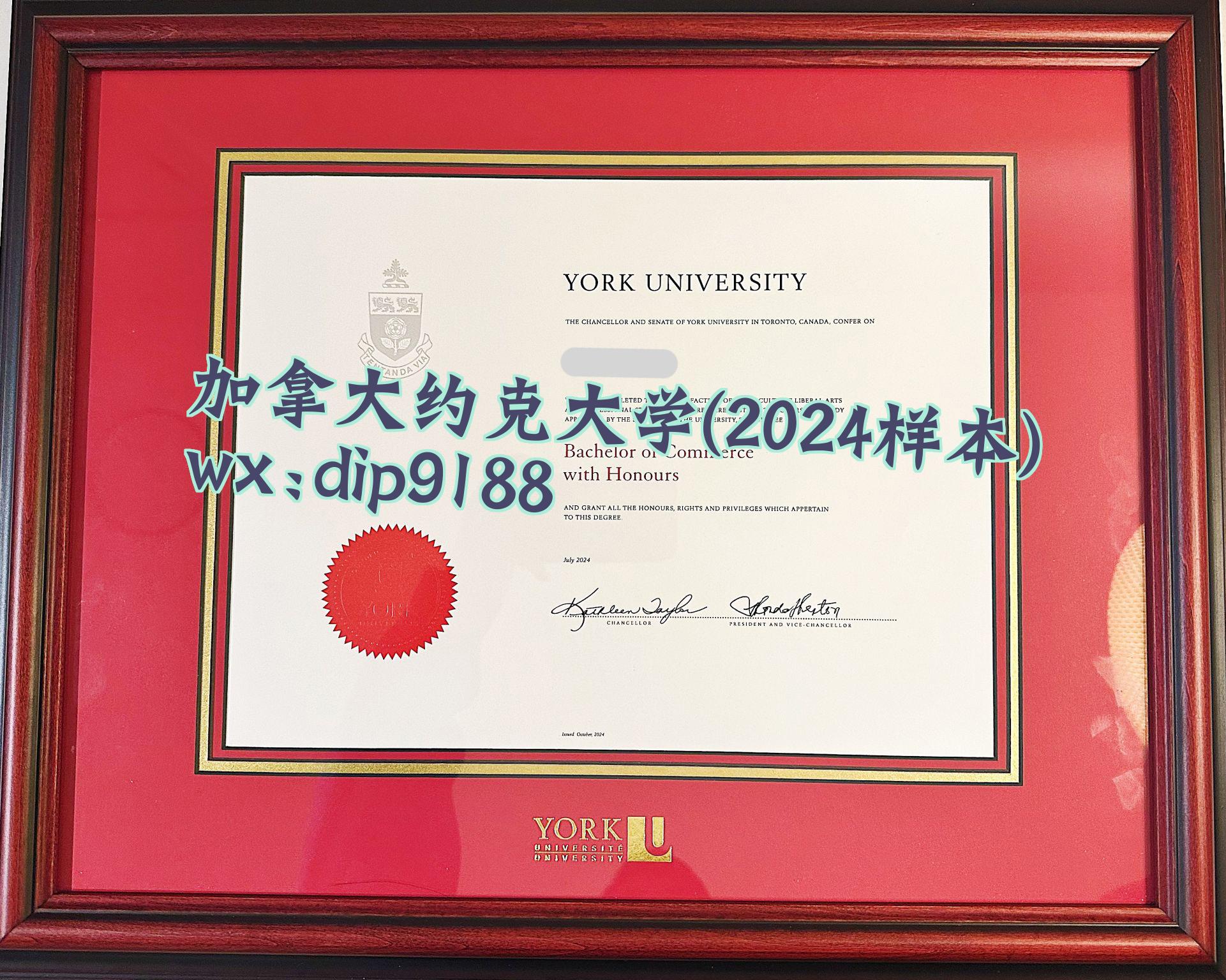 加拿大约克大学学历2024毕业证样本图