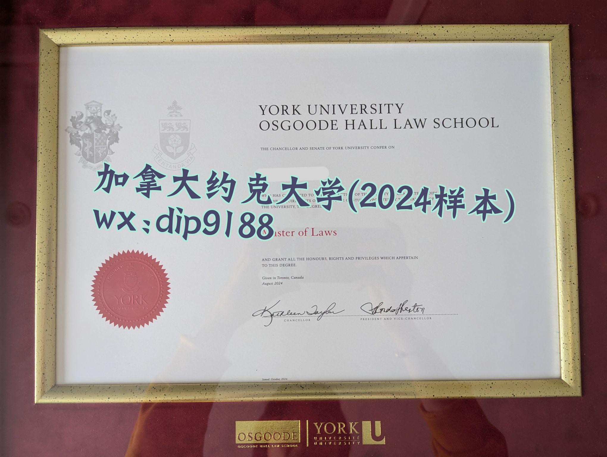 加拿大约克大学学历2024毕业证样本图