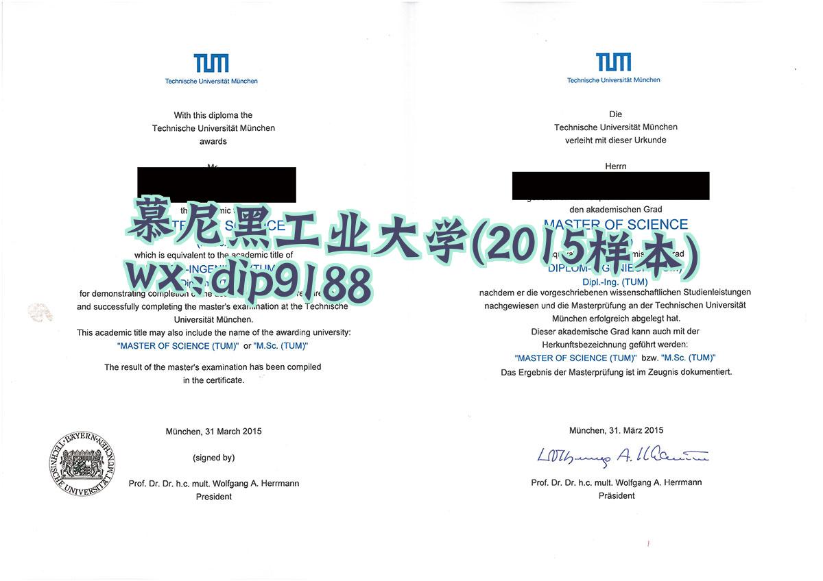 慕尼黑工业大学学历2015毕业证样本图