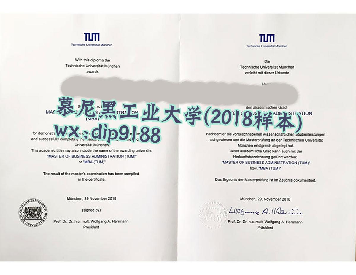 慕尼黑工业大学学历2018毕业证样本图