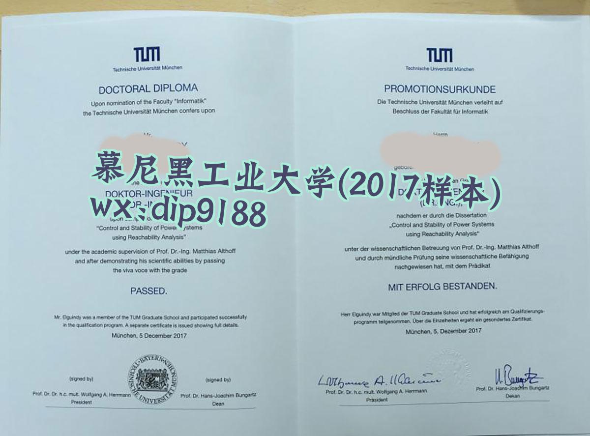 慕尼黑工业大学学历2017毕业证样本图