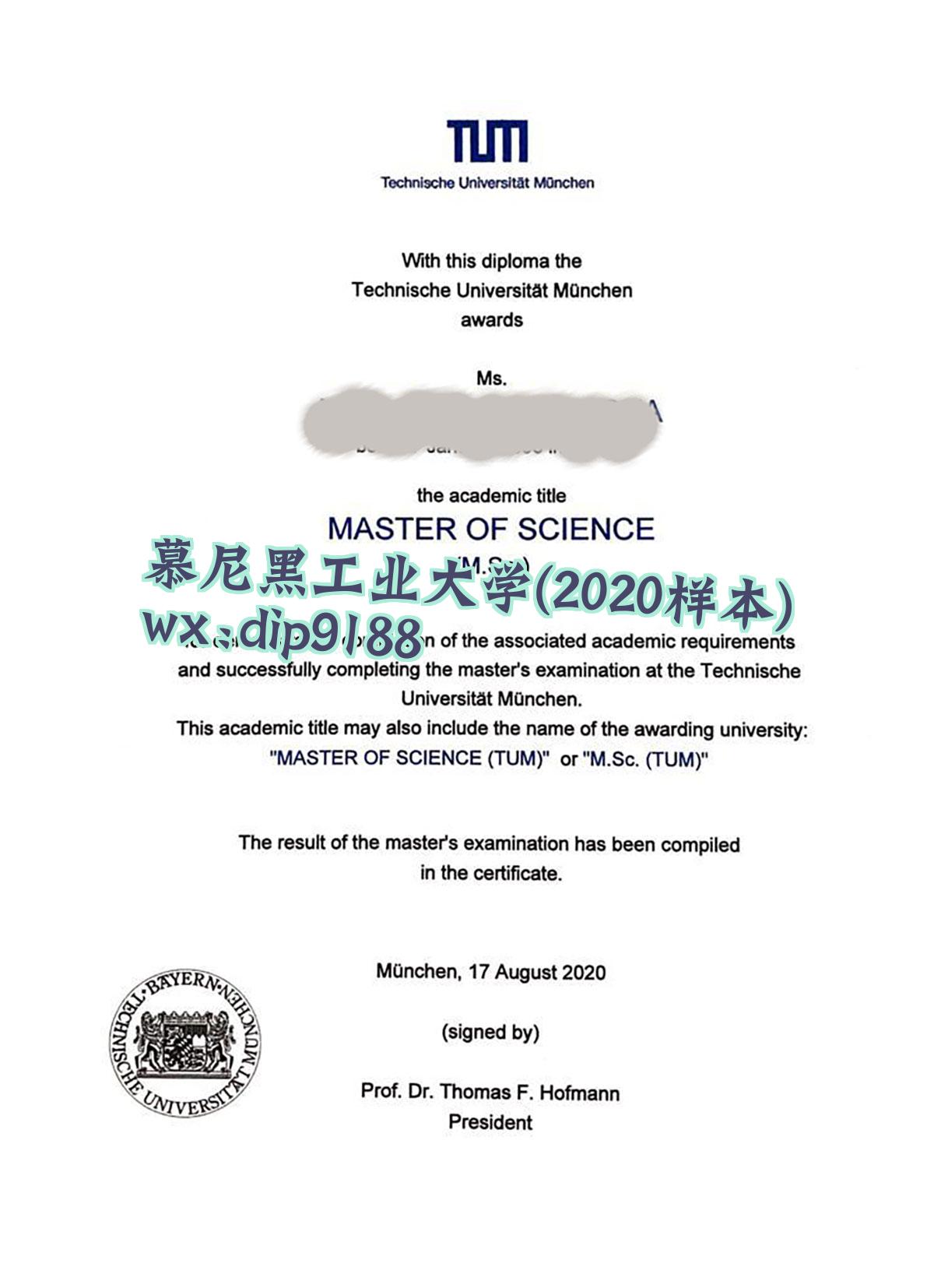 慕尼黑工业大学学历2020毕业证样本图