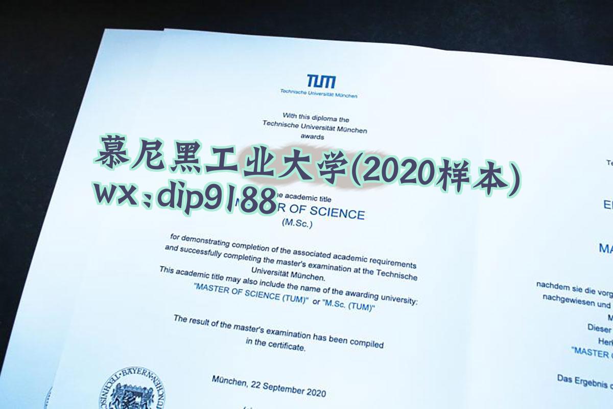 慕尼黑工业大学学历2020毕业证样本图