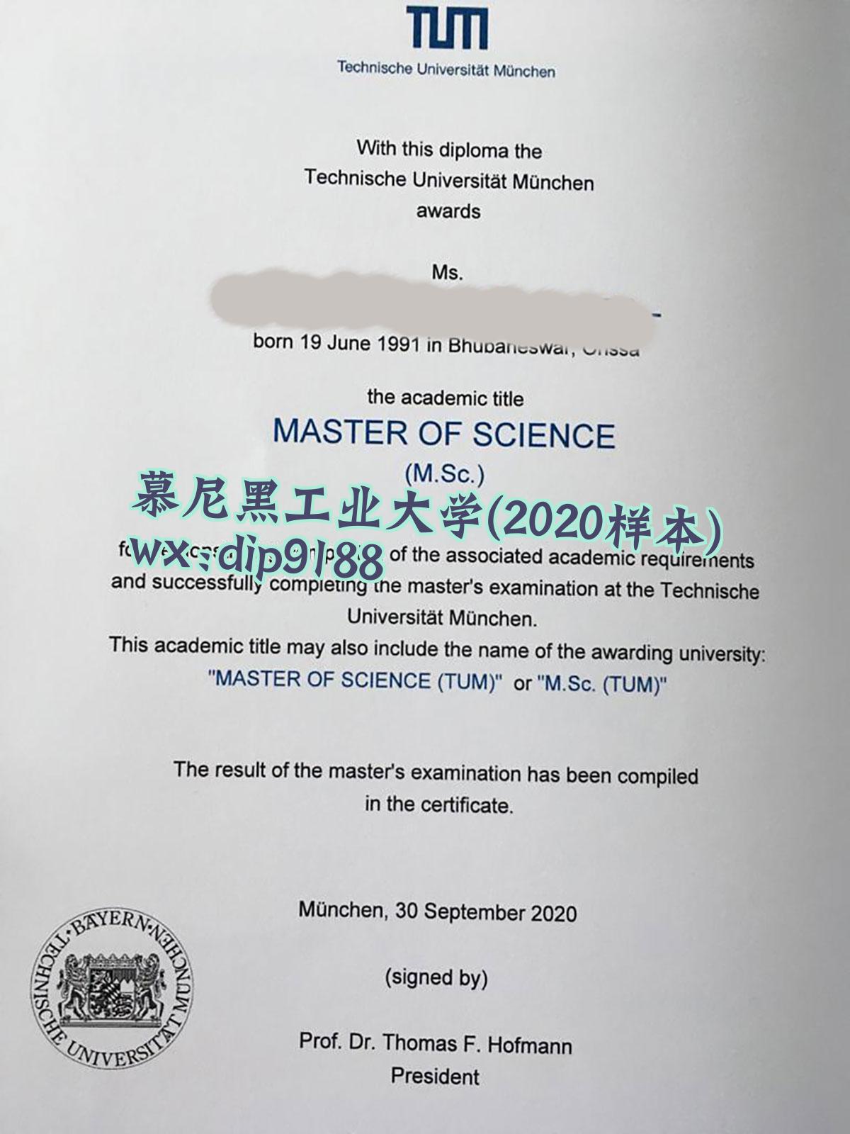 慕尼黑工业大学学历2020毕业证样本图