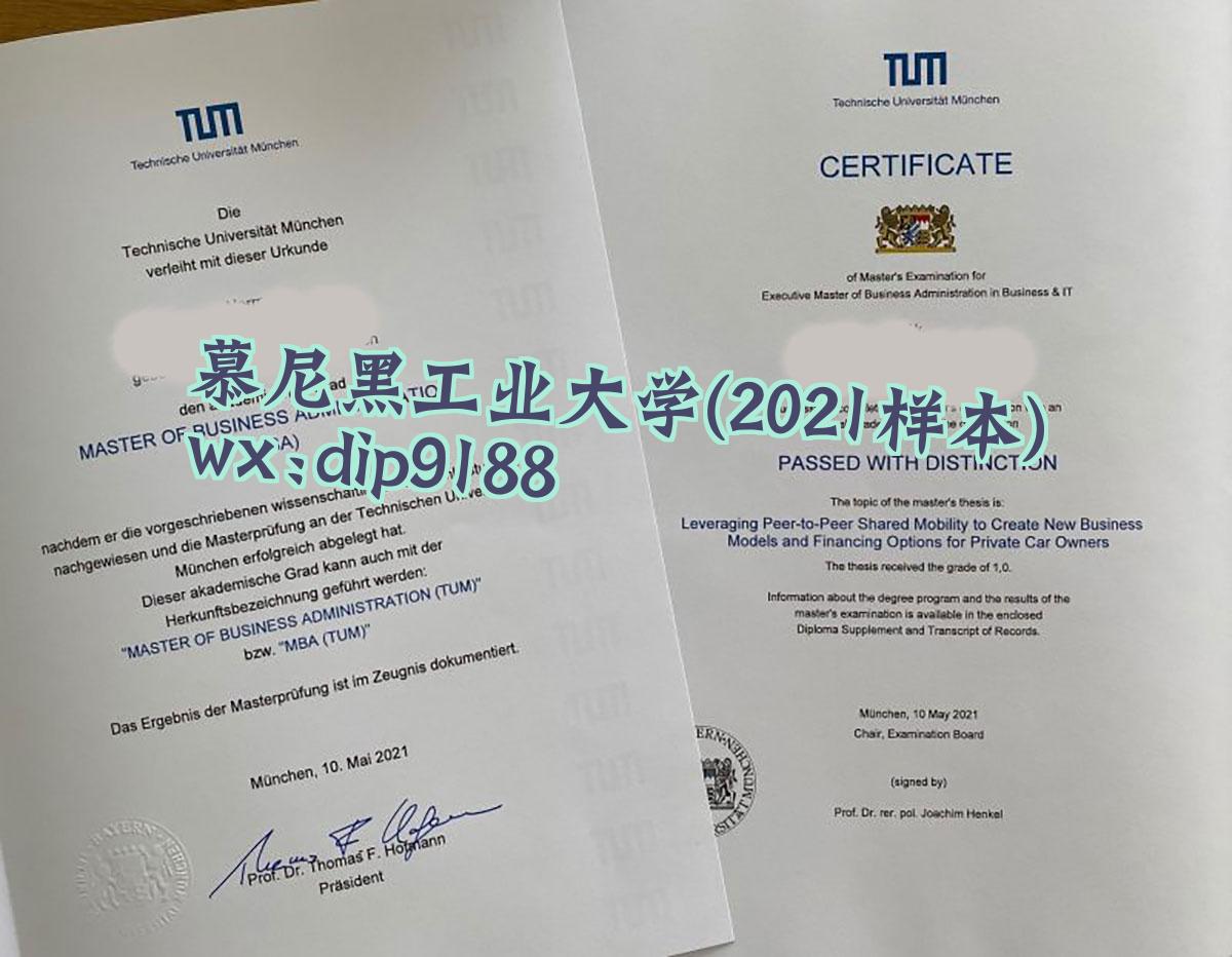 慕尼黑工业大学学历2021毕业证样本图