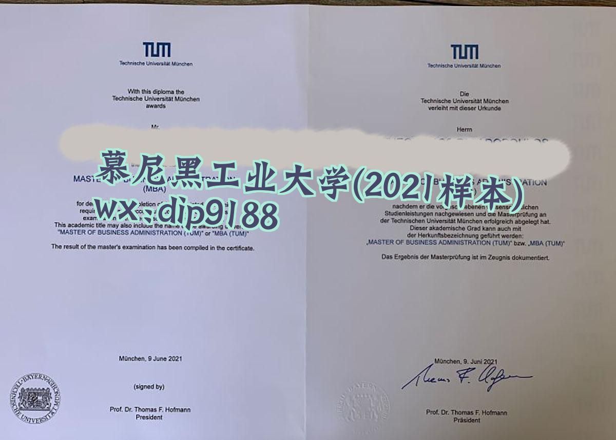 慕尼黑工业大学学历2021毕业证样本图