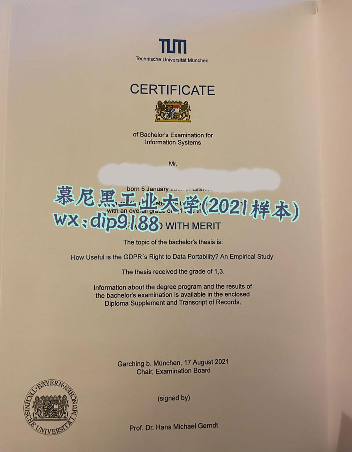 慕尼黑工业大学学历2021毕业证样本图