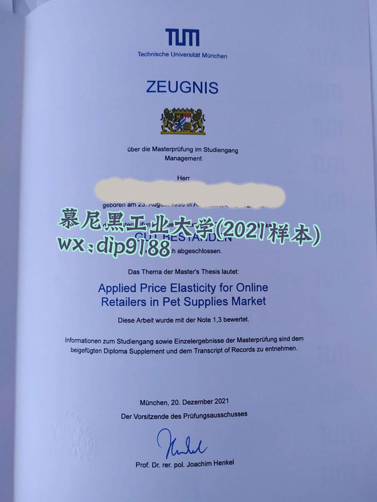 慕尼黑工业大学学历2021毕业证样本图