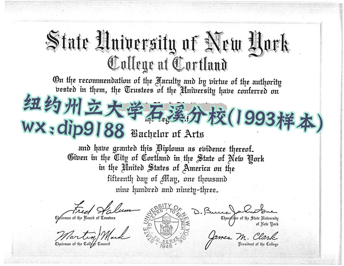 纽约州立大学石溪分校学历1993毕业证样本图