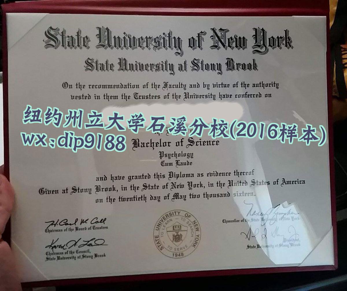 纽约州立大学石溪分校学历2016毕业证样本图