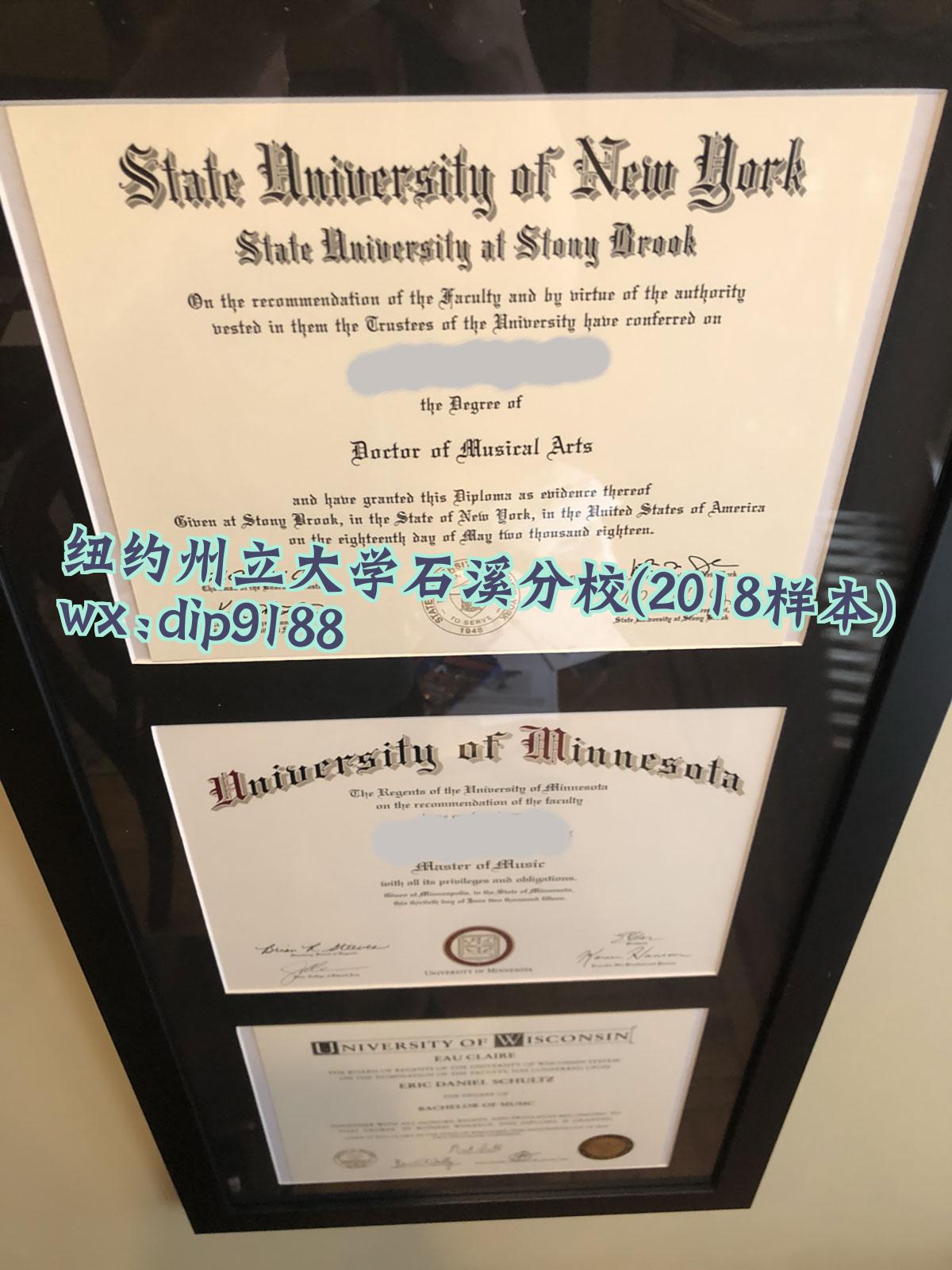 纽约州立大学石溪分校学历2018毕业证样本图