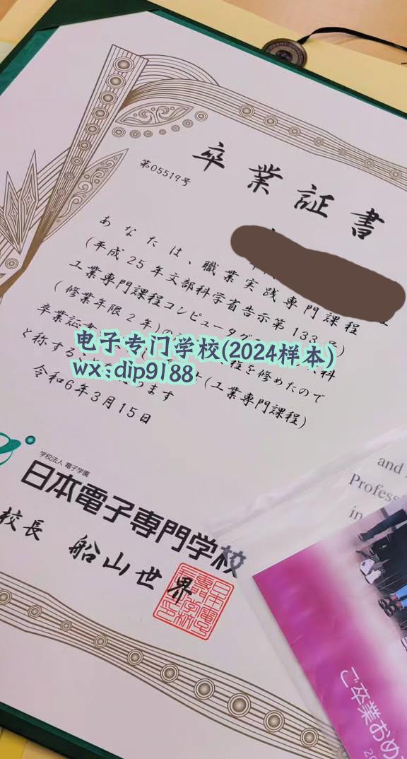 电子专门学校学历2024毕业证样本图