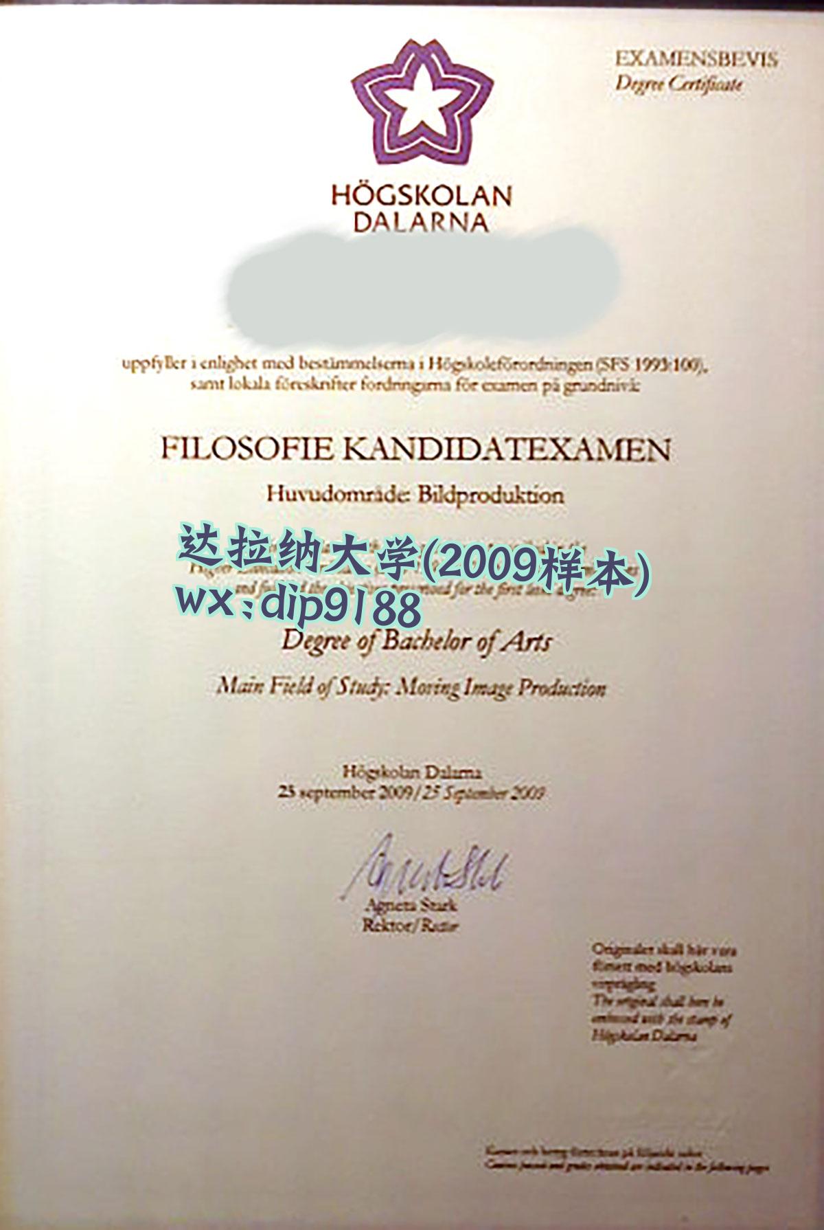 达拉纳大学学历2009毕业证样本图