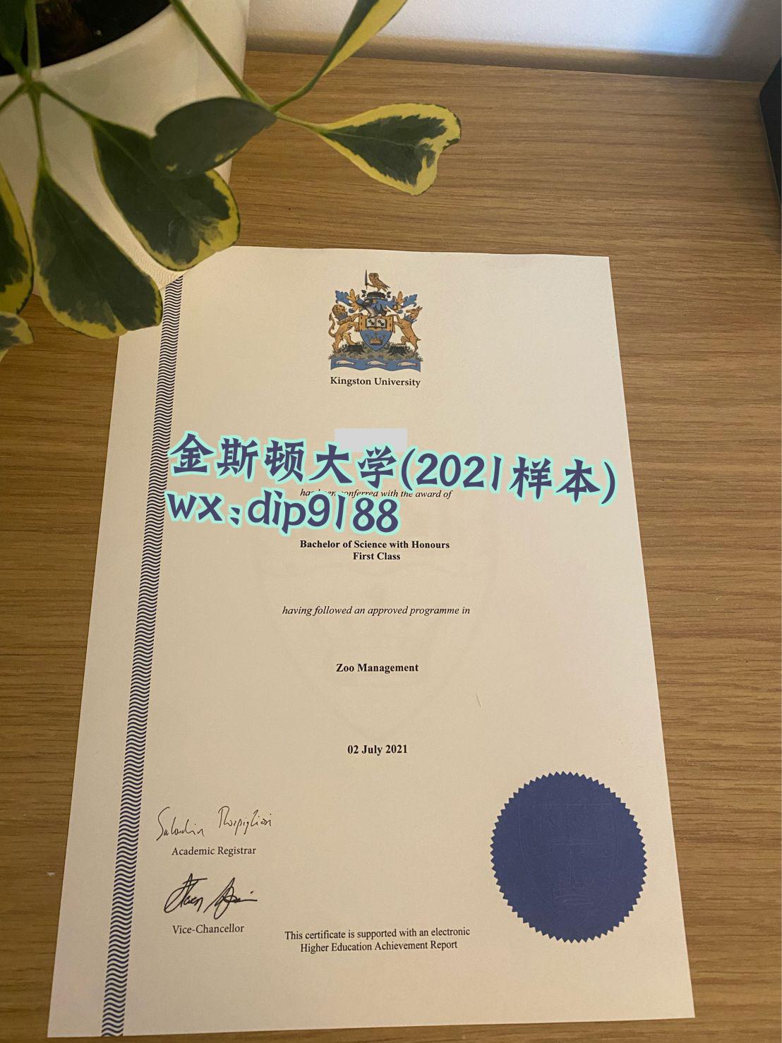金斯顿大学学历2021毕业证样本图