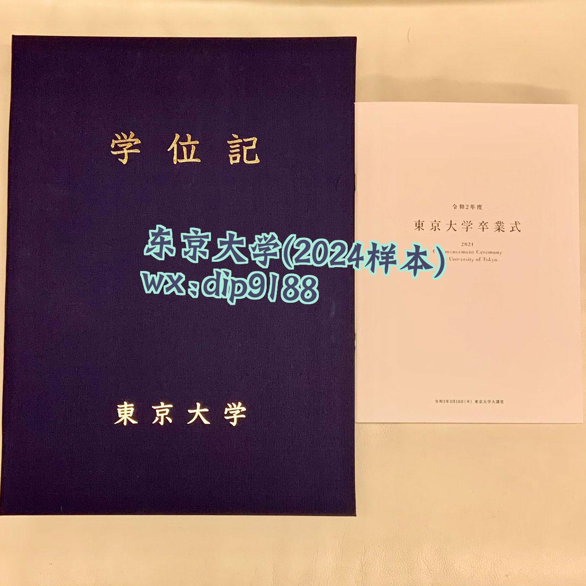 东京大学学历2024毕业证样本图