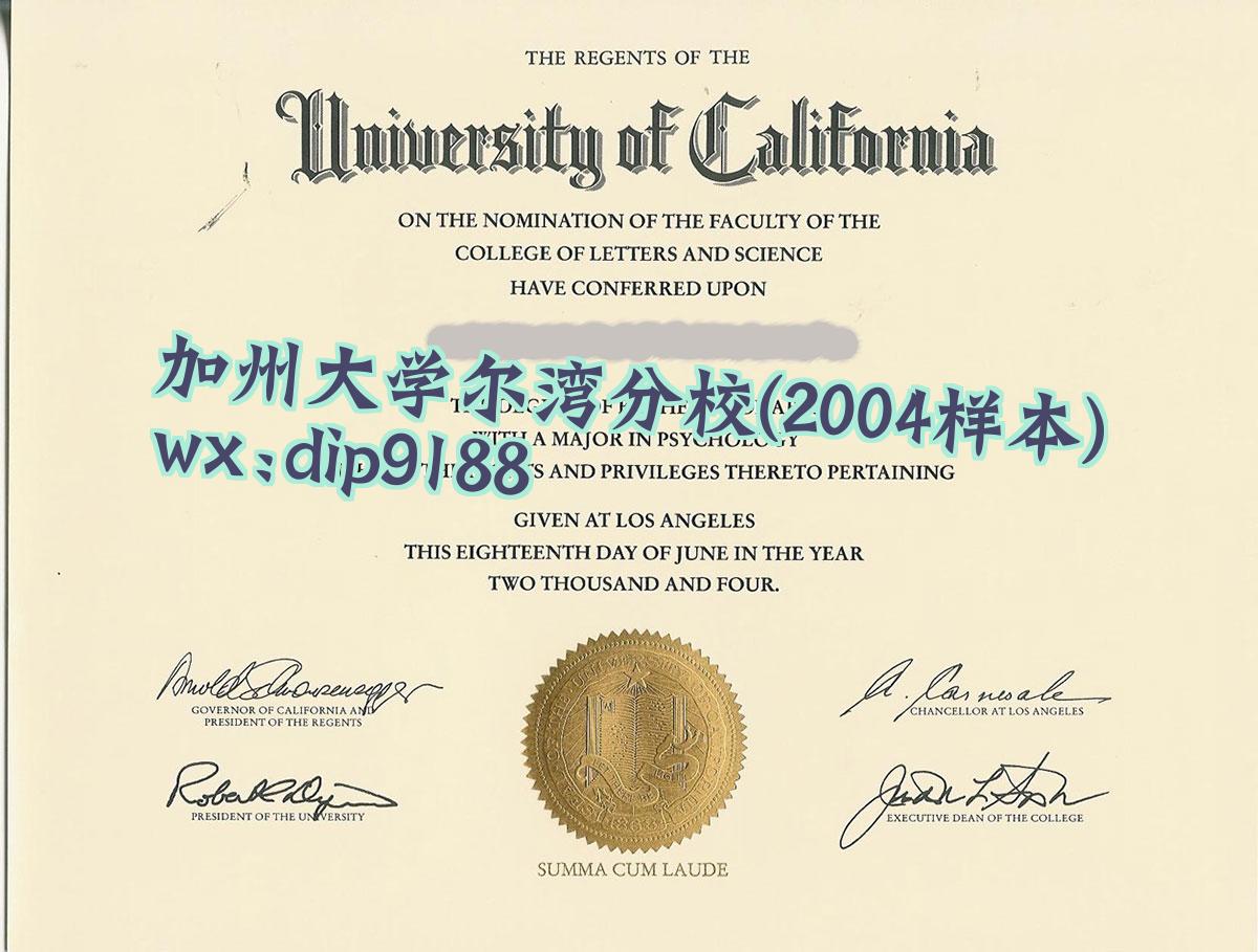 加州大学尔湾分校学历2004毕业证样本图