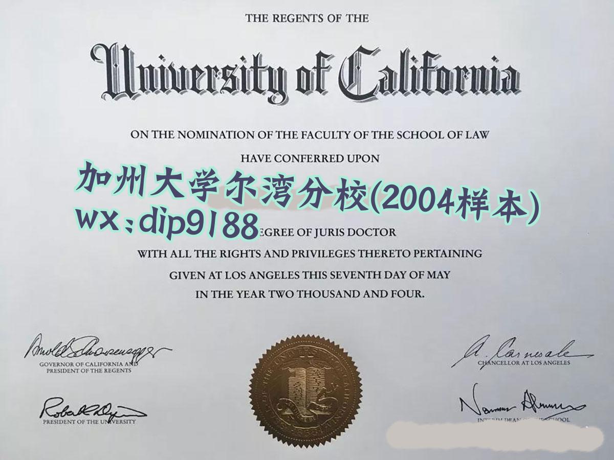 加州大学尔湾分校学历2004毕业证样本图
