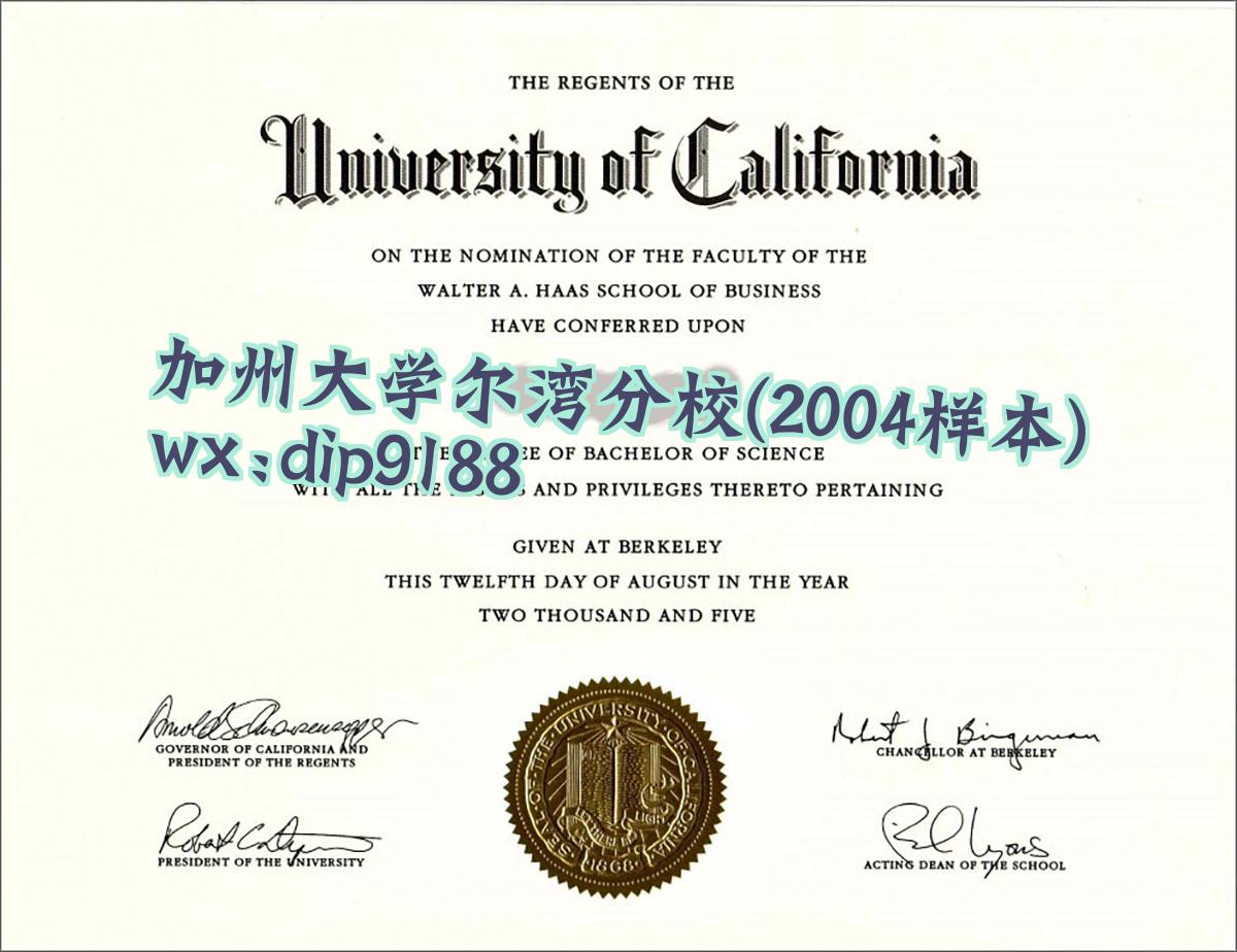 加州大学尔湾分校学历2004毕业证样本图