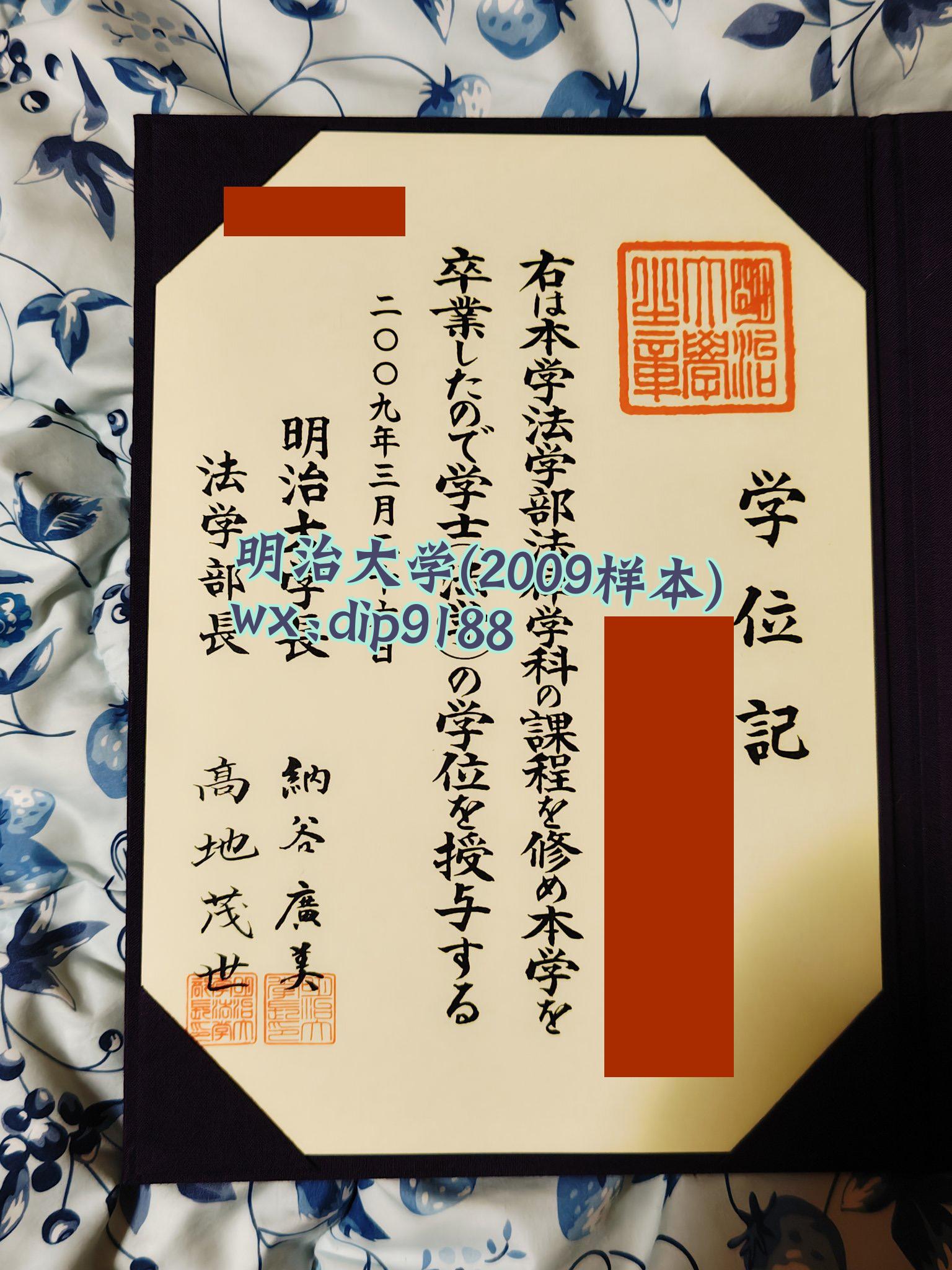 明治大学学历2009毕业证样本图