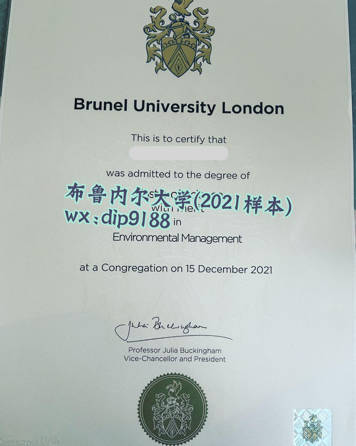 布鲁内尔大学学历2021毕业证样本图