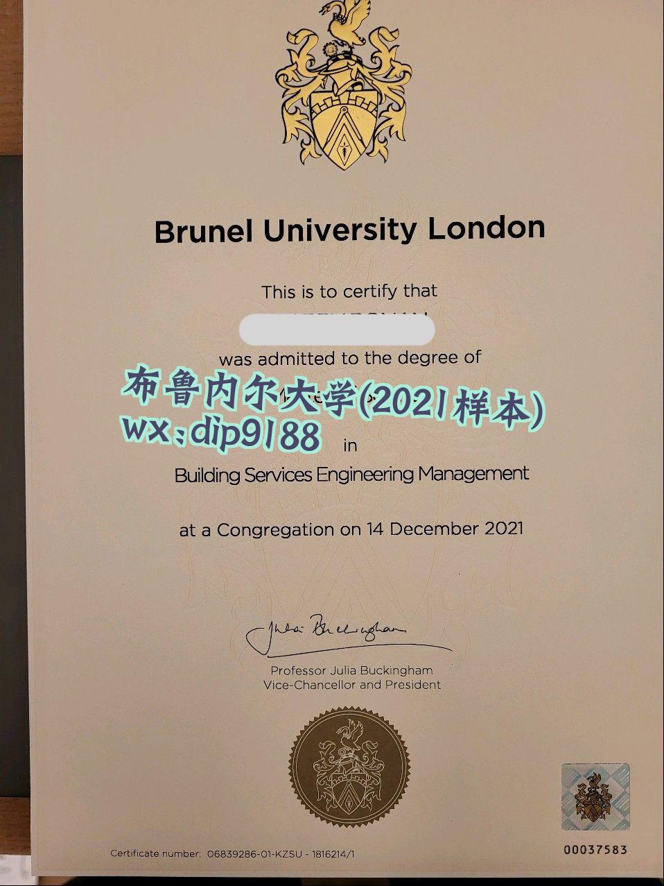 布鲁内尔大学学历2021毕业证样本图